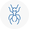 Ant Removals In Hatfield