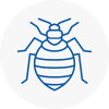 Bed Bug Extermination In Hatfield