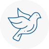 Bird Prevention Hatfield