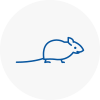 Mice Exterminators In Hatfield