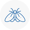 Moth Control Specialists In Hatfield
