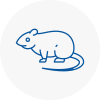 Rat Control Hatfield