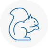 Hatfield Rodent Removals