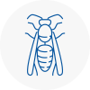 Hatfield Wasp Nest Removal